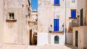 Una estrecha calle adoquinada con edificios que tienen balcones y contraventanas azules.
