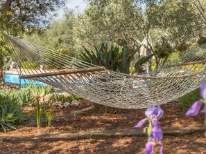 Àrea exterior de l'allotjament