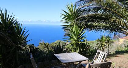 El Cortijo - Canarian finca with many palm trees & wonderful panoramic sea views