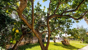 A tree with green leaves and fruit, a grassy area, and a building in the background. - Rural villa with pool – Villa Tabo (Selva)