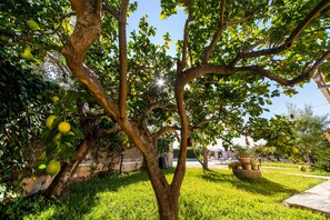 Property grounds - Rural villa with pool – Villa Tabo (Selva)