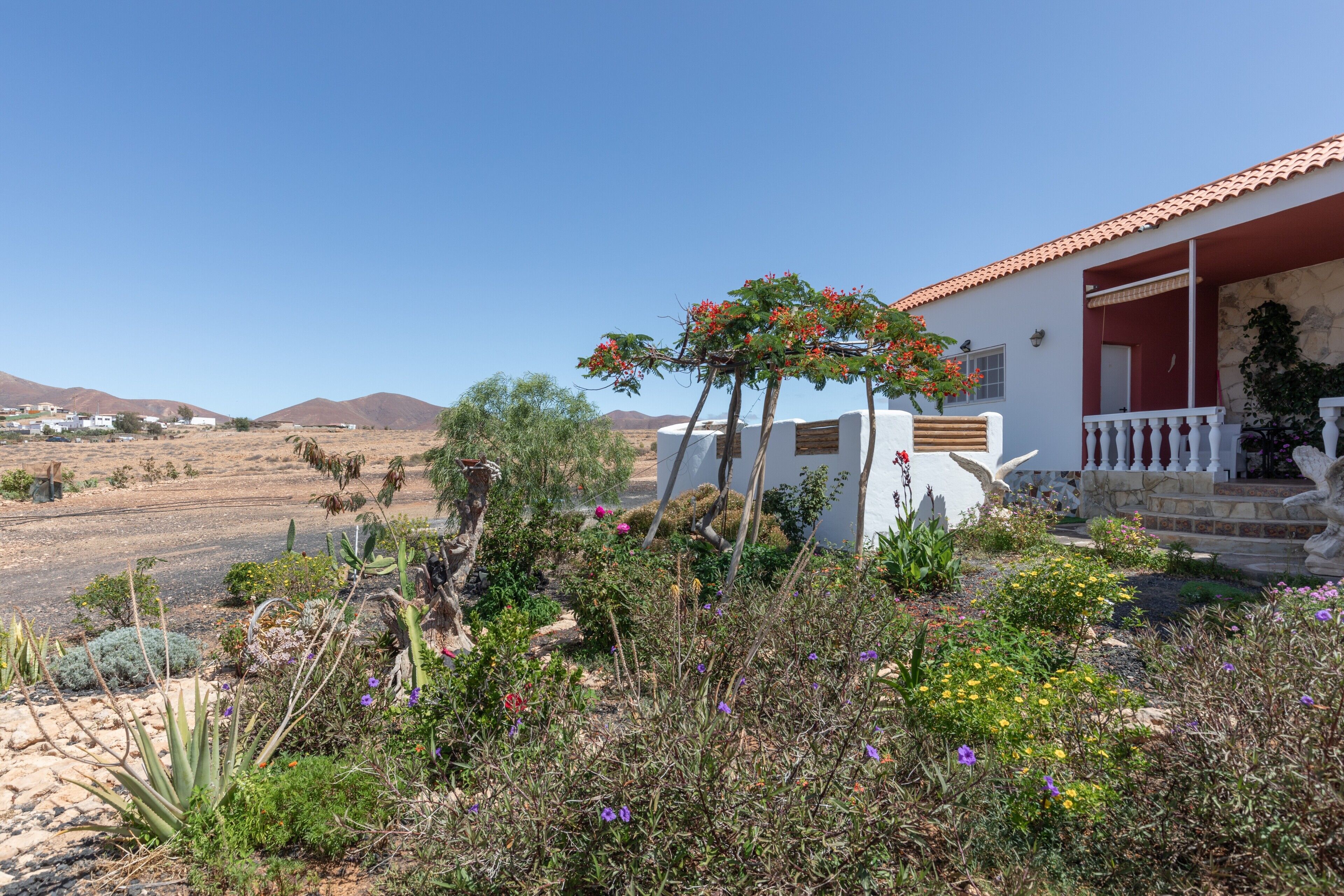 Un bâtiment blanc surmonté d’un toit rouge, entouré d’un jardin où poussent différentes plantes et fleurs.
