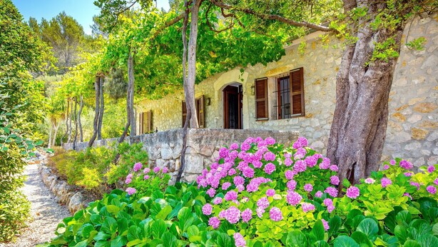A stone building with arched windows and a garden with pink flowers.