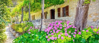Beautiful Finca "Na Garrovera" in Pollenca