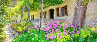 Beautiful Finca "Na Garrovera" in Pollenca