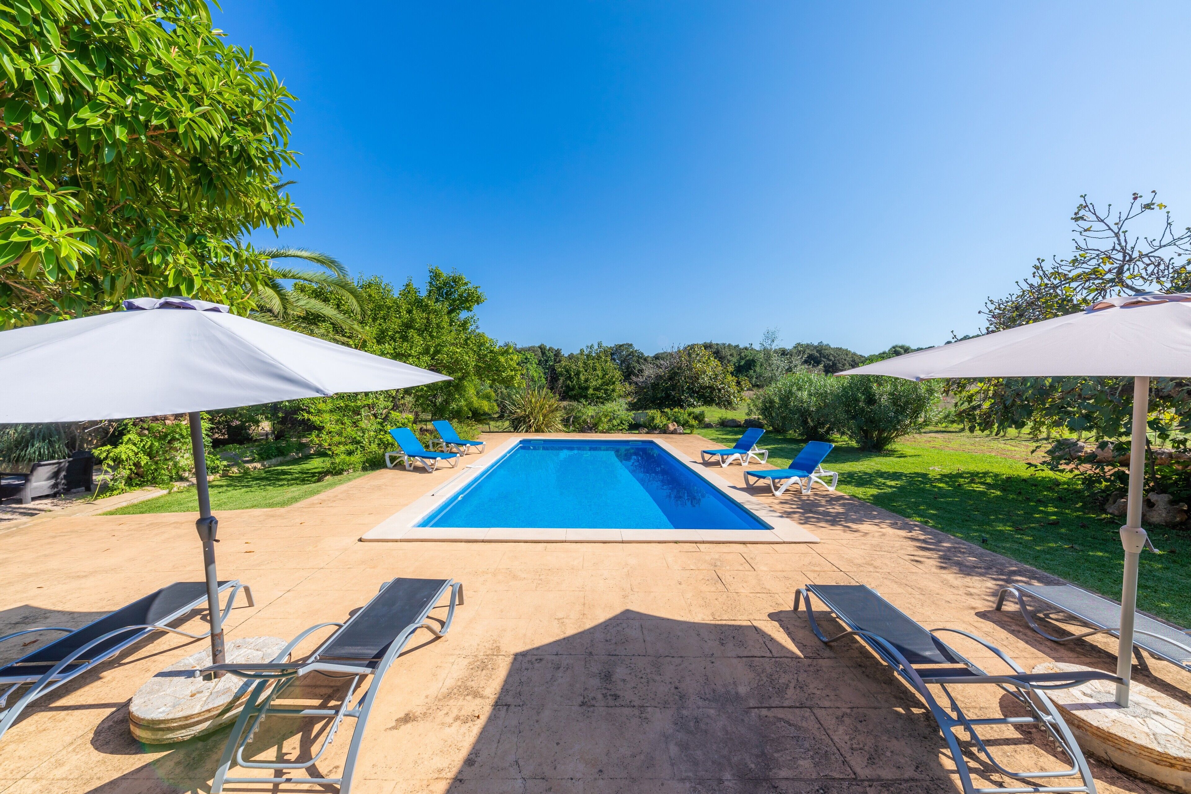 Una piscina rectangular con superficie de agua azul cristalina, rodeada de sillas de descanso y sombrillas, ubicada en un jardín ajardinado con árboles y arbustos.