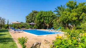 A rectangular swimming pool with lounge chairs and umbrellas, surrounded by greenery and trees.