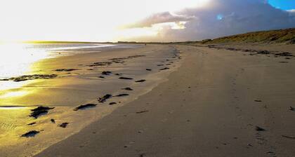 Mingro is a unique beachside cottage that serves as a retreat from modern life.