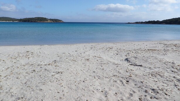 En strand med klart vatten och en sandstrand.