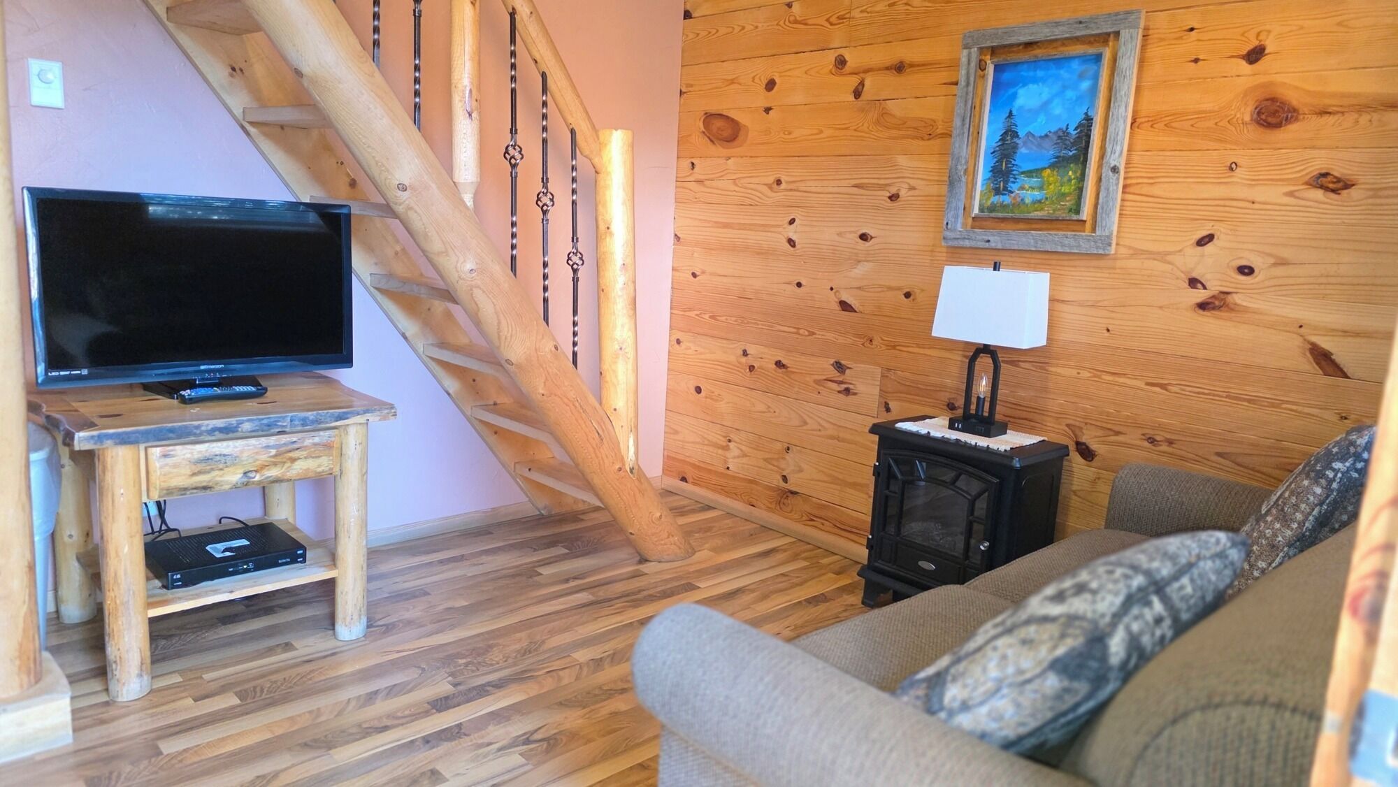 电视、DVD 播放器