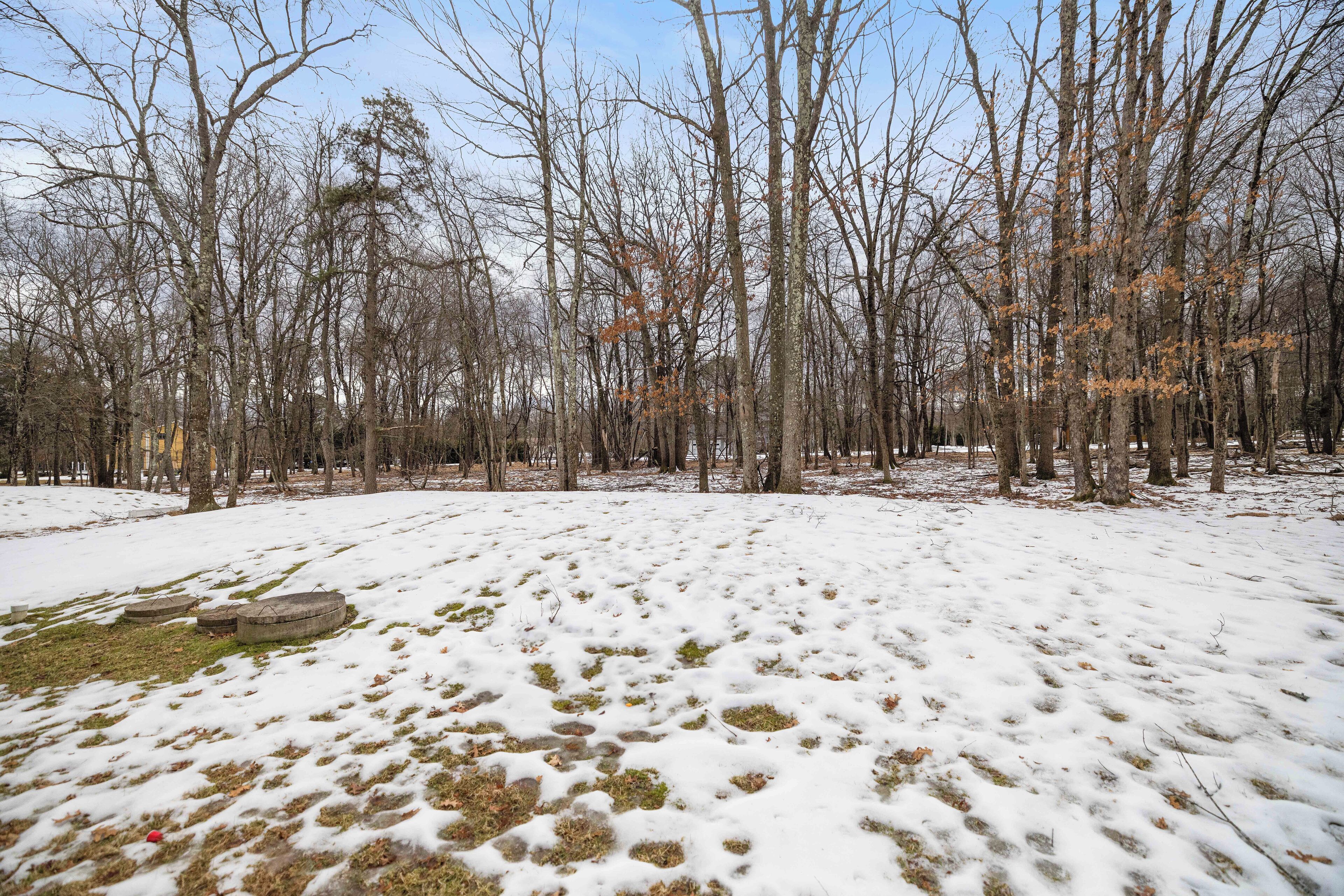 A snowy landscape with bare trees and a clear sky.