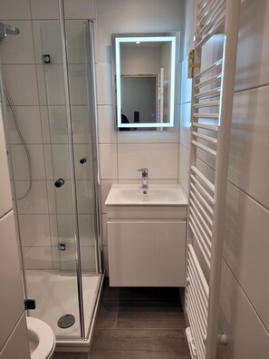 Shower, hair dryer, soap, toilet paper
