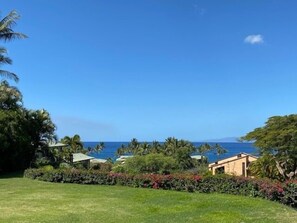 Property grounds - Updated Wailea Condo in Oceanfront Complex! (Wailea)