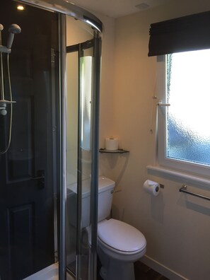 A bathroom with a glass-enclosed shower, a toilet, and a window with a view.