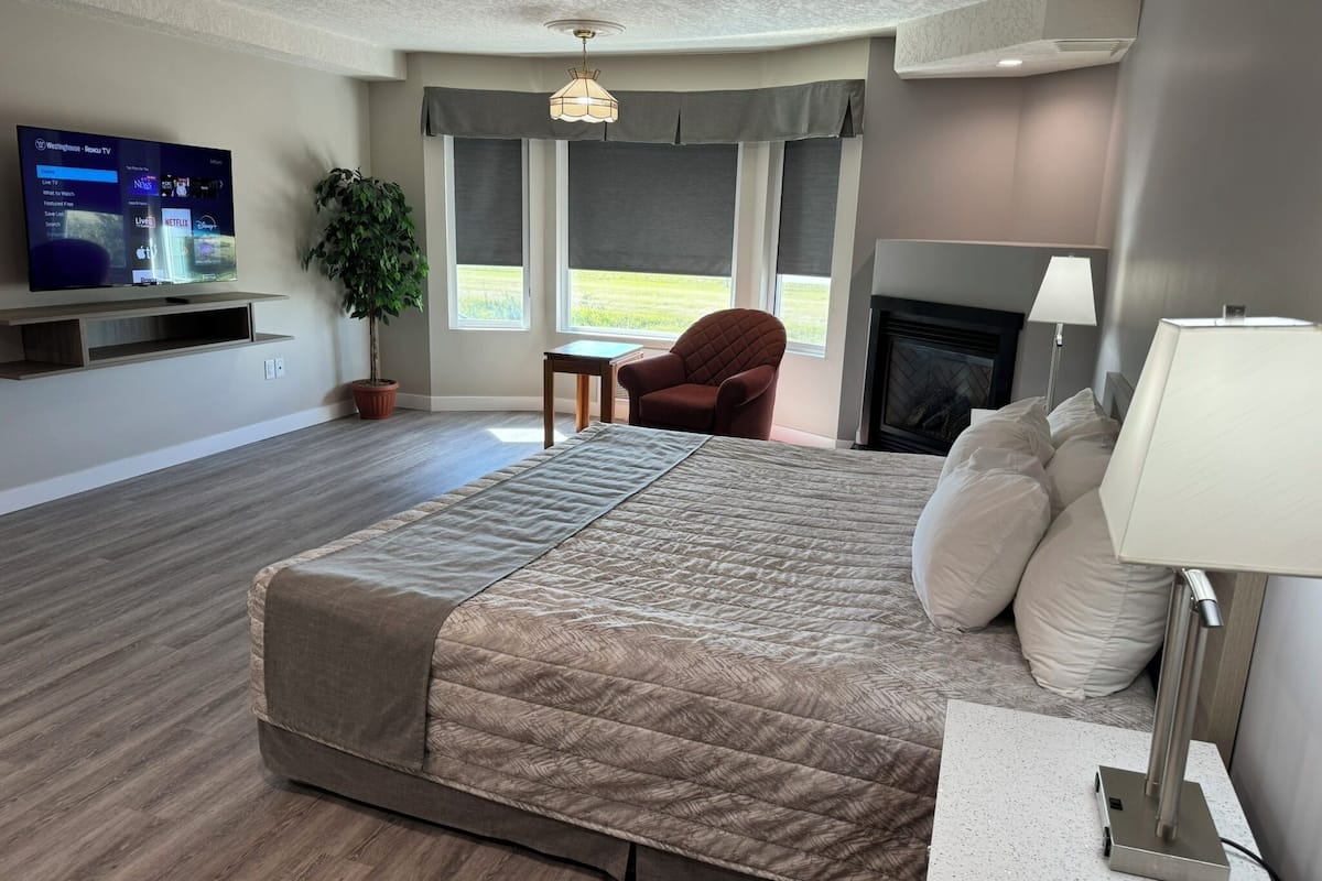 A modern hotel room with a large bed, a television mounted on the wall, a fireplace, and a potted plant.