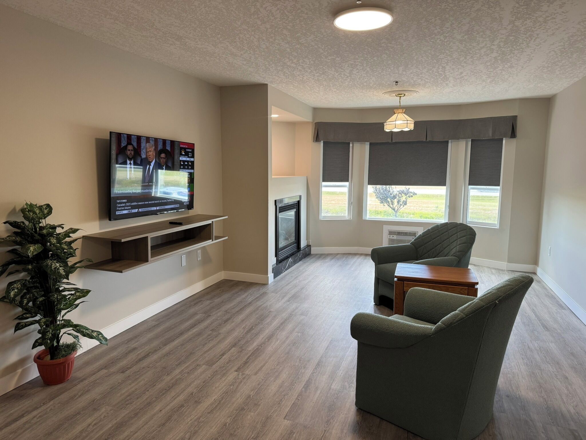 A living room with a flat-screen TV, a fireplace, a green armchair, and a potted plant.