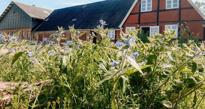 Idyllic old farm in beautiful nature