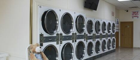 A laundry room with multiple washing machines, a teddy bear, and a sign indicating it is a smoke-free building.