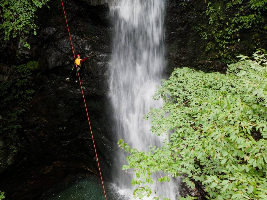 A person rappelling down a waterfall surrounded by dense foliage.