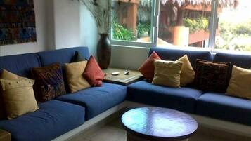 電視、DVD 播放機、影像庫