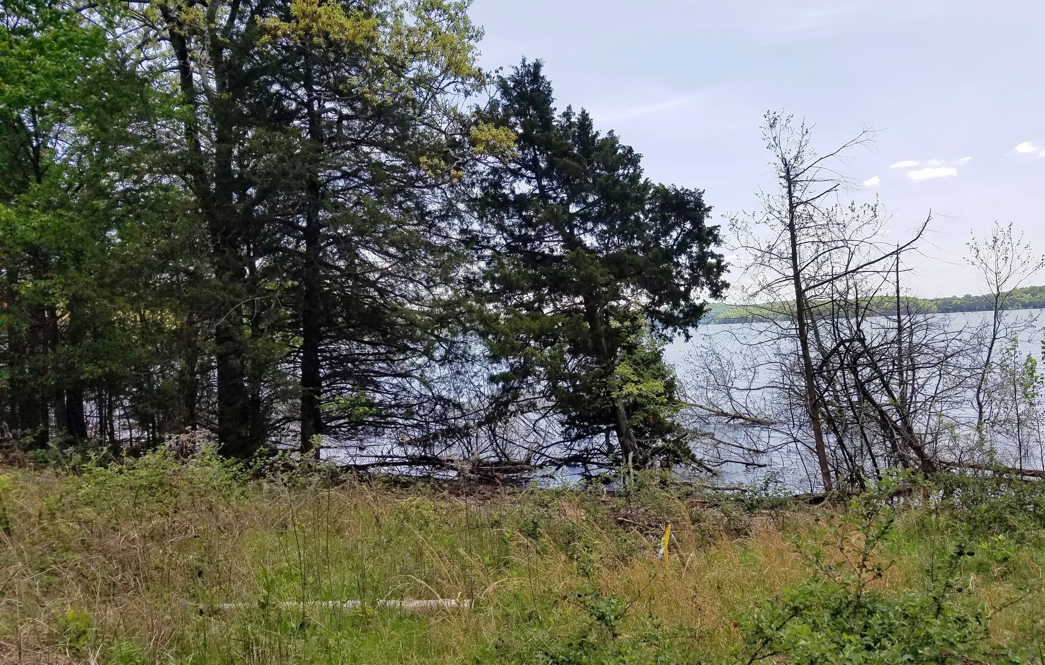 A natural landscape with a lake, dense trees, and a grassy foreground.