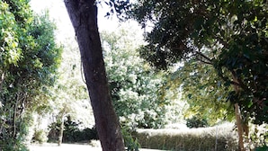 A garden pathway with a stone bench, surrounded by trees and greenery. - Holiday house 10 people in Binic (22) with Family or friends. (Binic)