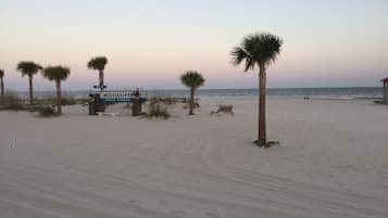 Beach nearby, sun loungers