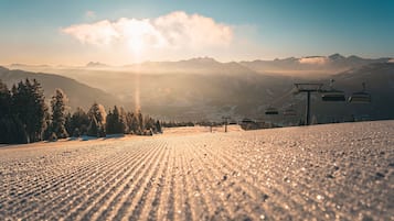 Sneeuw- en skisporten