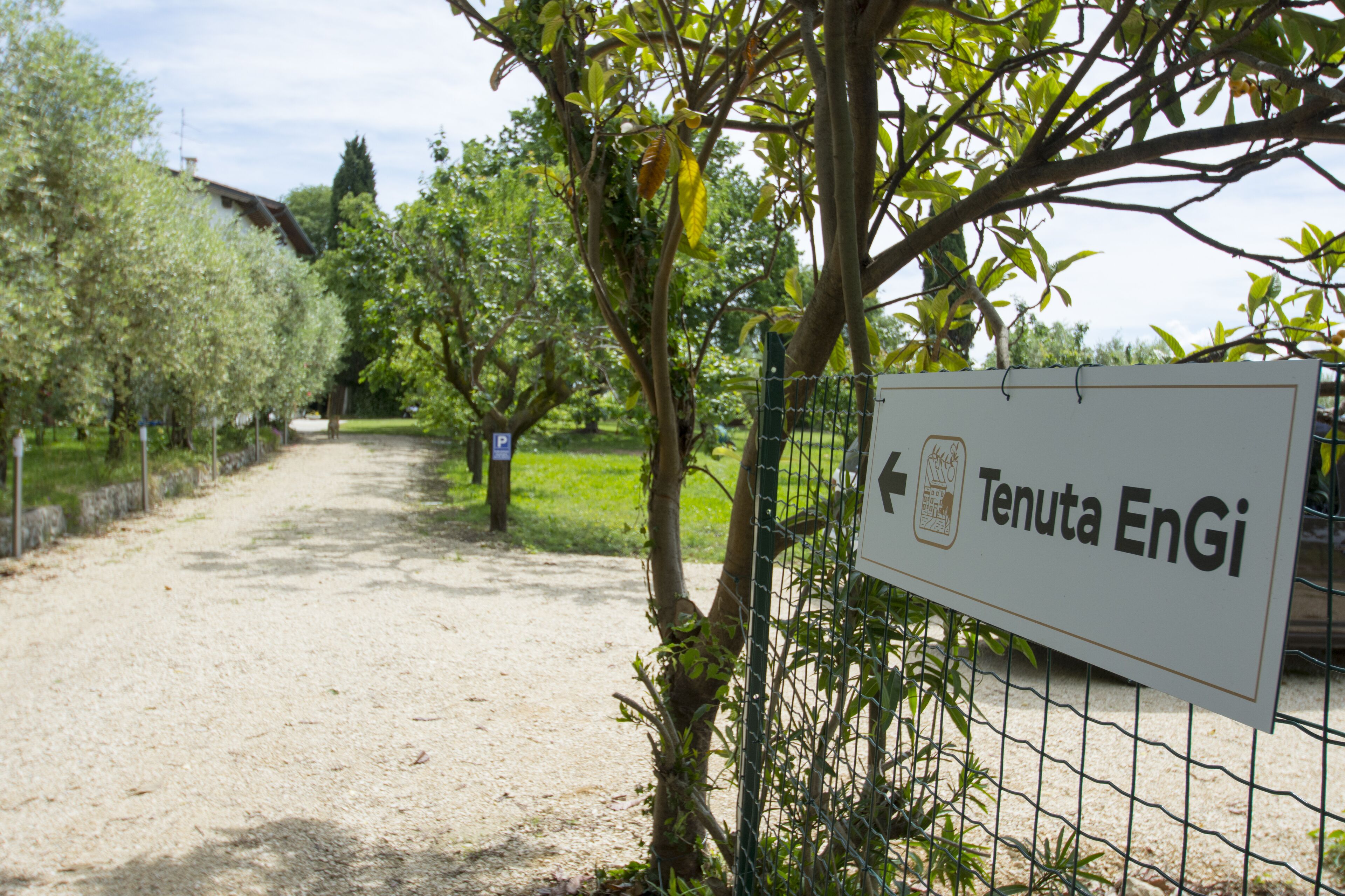 Parco della struttura