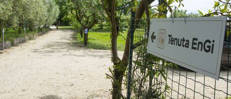 Parco della struttura