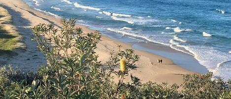 Plage à proximité, chaises longues, serviettes de plage
