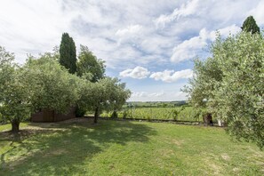 Property grounds - Gioele residence in EnGi estate (Sona)