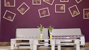 Un mur violet orné de tableaux botaniques encadrés et un banc blanc agrémenté de coussins.