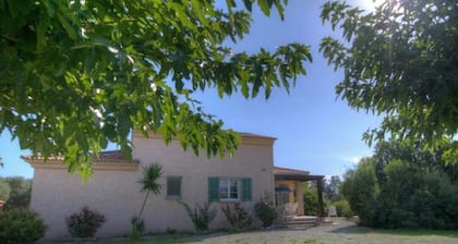 RUMANA 2 - 3 chambres- ALERIA