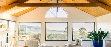 Smart TV, fireplace, DVD player, books