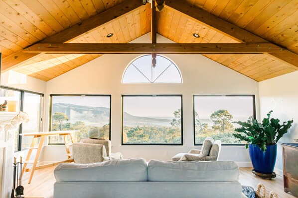 Smart TV, chimenea, reproductor de DVD y libros 