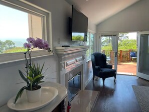 Smart TV, chimenea, reproductor de DVD y libros 