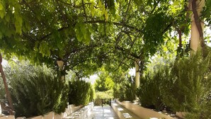 A covered pathway lined with planters and trees, leading to a distant view. - Apartments Trstenica-One Bedroom Apartment with Terrace (Orebic)