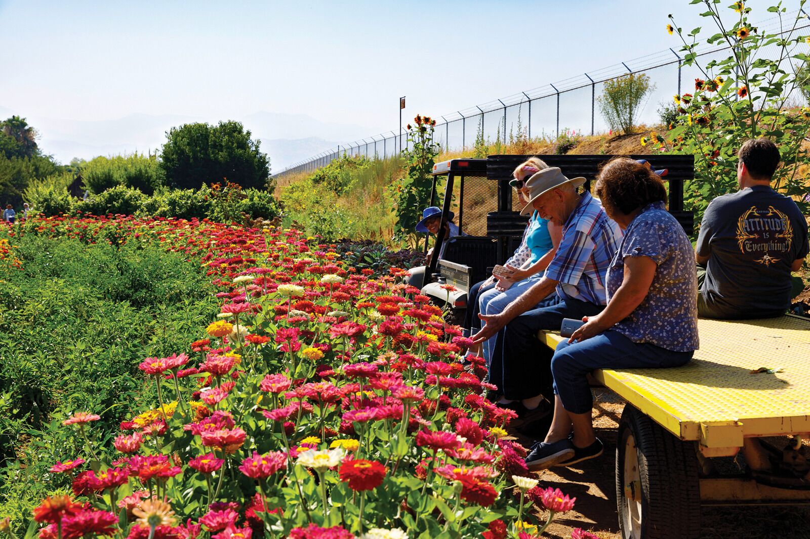 A garden with a variety of colorful flowers and a small vehicle with people on it.