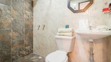 Ducha, toallas, jabón y papel higiénico