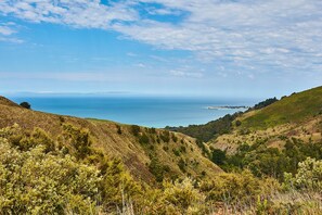 A coastal landscape with rolling hills and a view of the sea. - Great Ocean Walk Retreat (Glenaire)