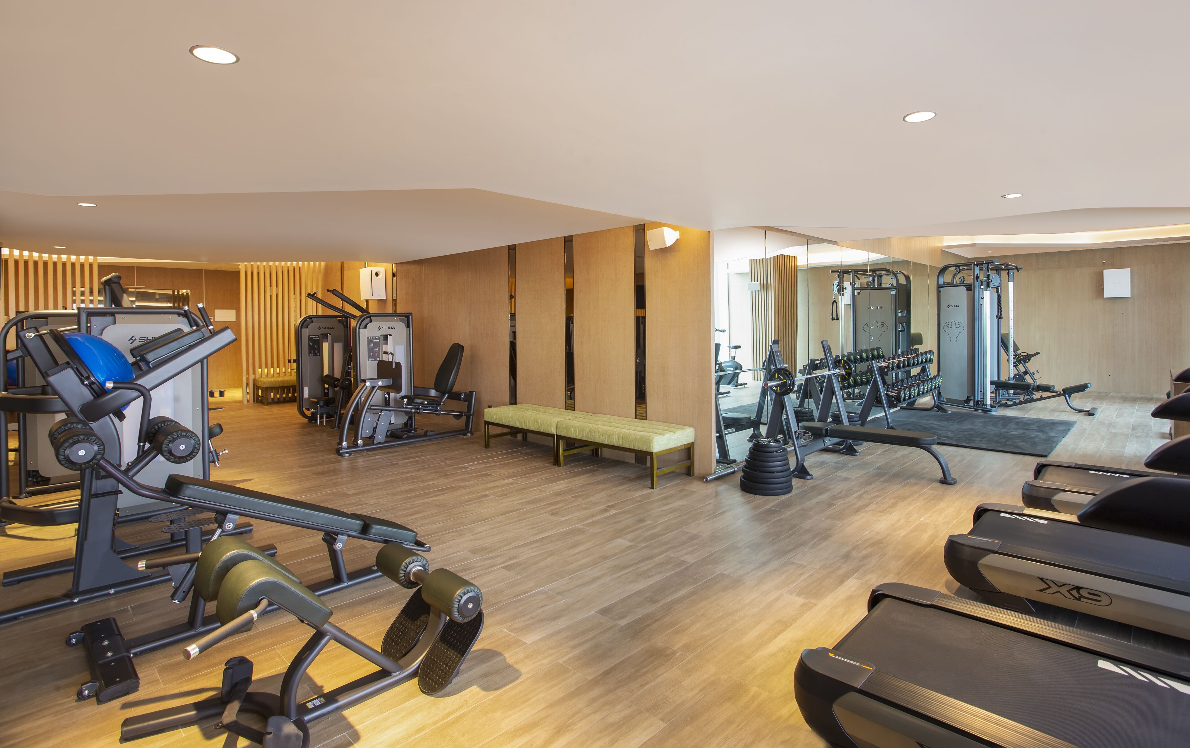 A modern gym with various exercise equipment, a bench, and a treadmill.