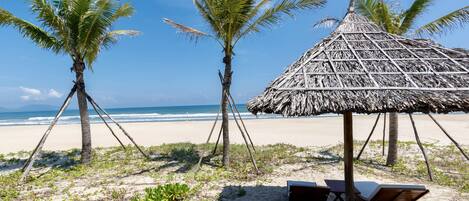 Playa en los alrededores
