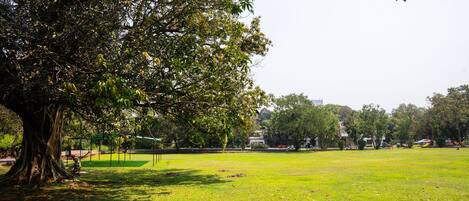 A park with a large tree, open grassy areas, and distant buildings.