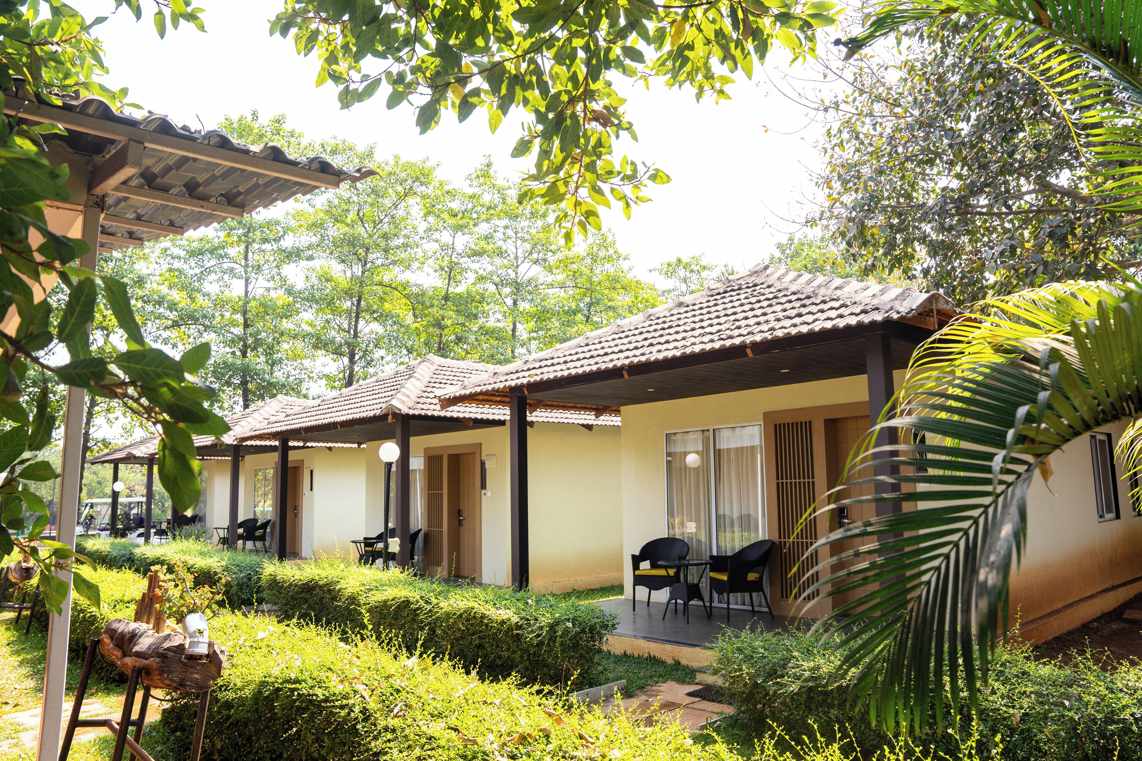 Superior King Room | View from room