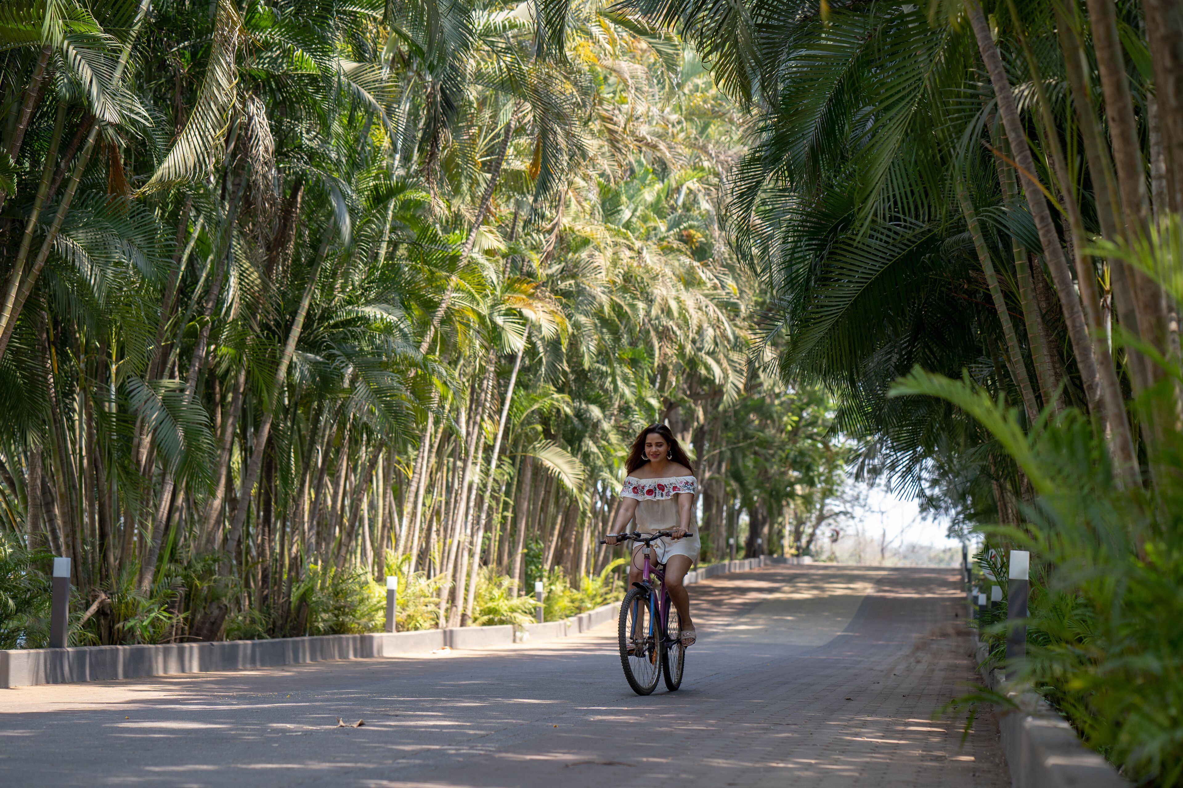 Una persona montando en bicicleta por una carretera bordeada de palmeras.
