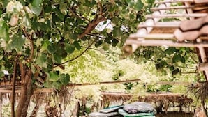 A white car parked under a tree with a license plate DR 1407 AQ. - LMBK Surf Camp - Hostel (Kuta)