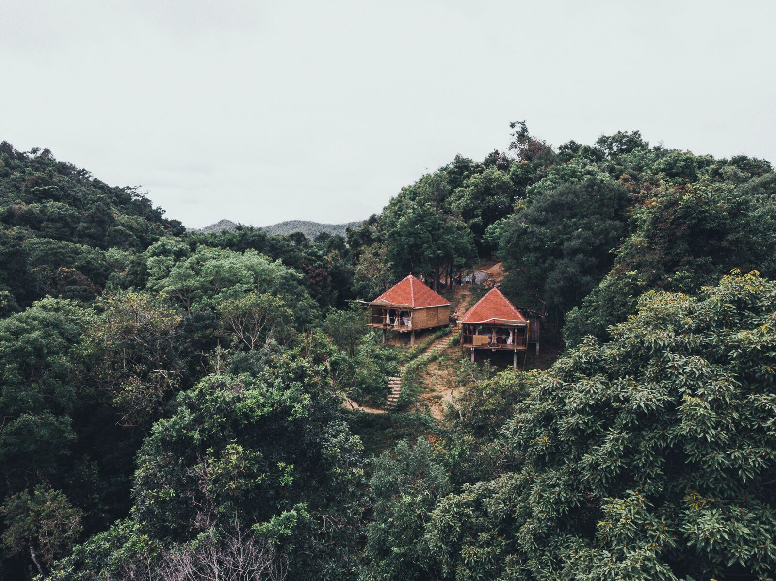Dos cabañas de madera con tejados rojos ubicadas en un bosque denso, rodeadas de colinas empinadas.