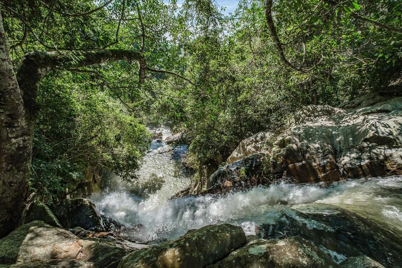 Uma cascata natural cercada por floresta densa.