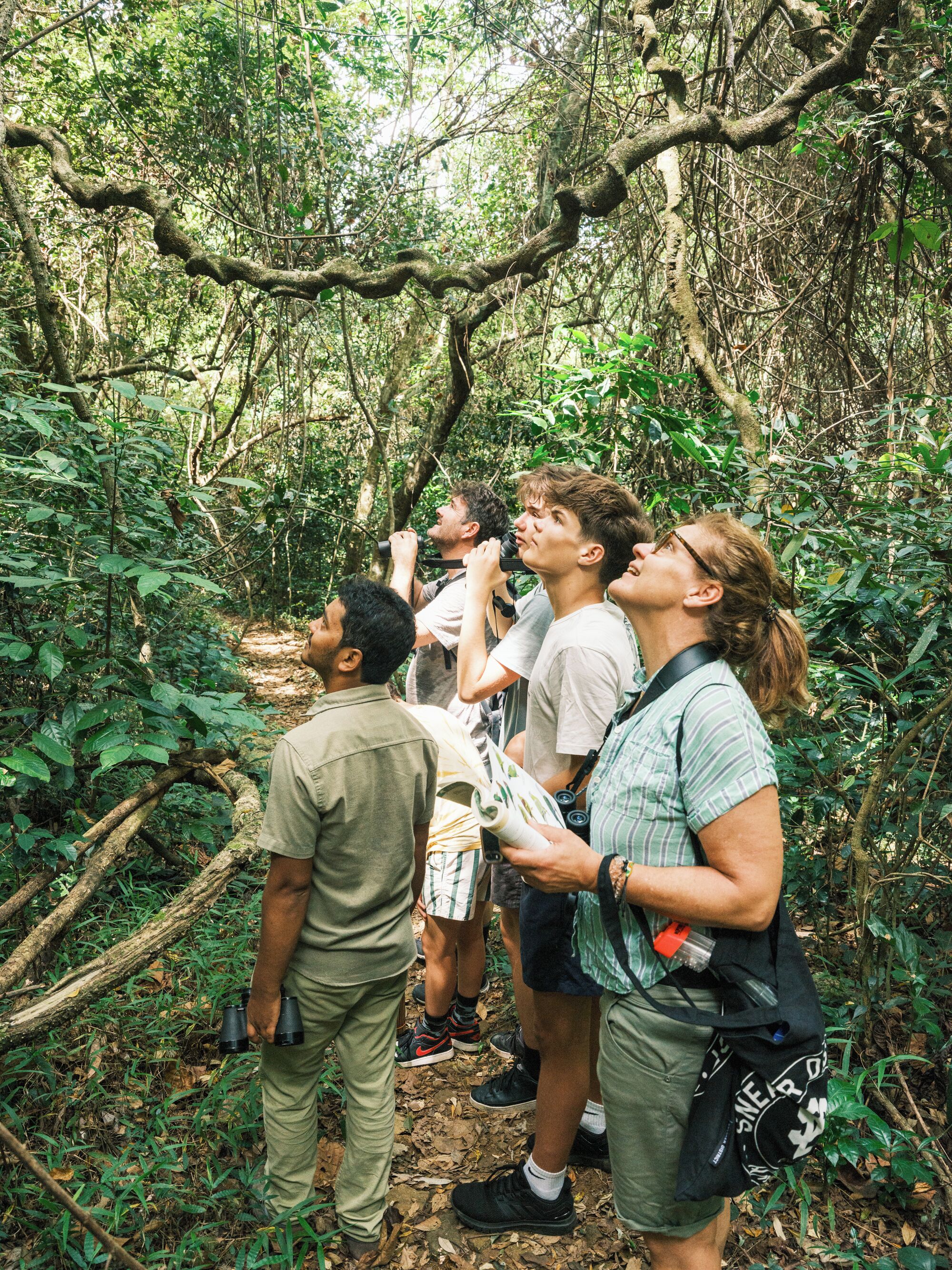 Un grupo de personas en un área boscosa, algunas sosteniendo binoculares, probablemente en una caminata por la naturaleza o observando aves.